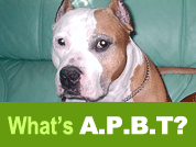 sign_about_APBT_178_134px_02.gif